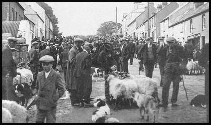 Fiar Day in Hilltown 