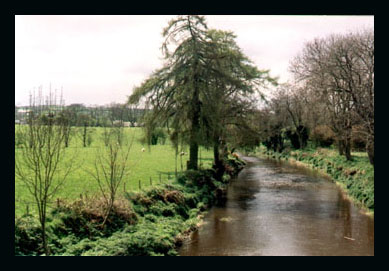 River Bann from Katesbridge
