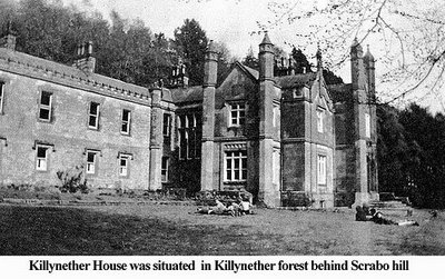 Killynether House