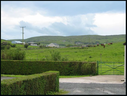 Ballynageehan townland